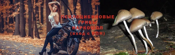 хмурый Волоколамск