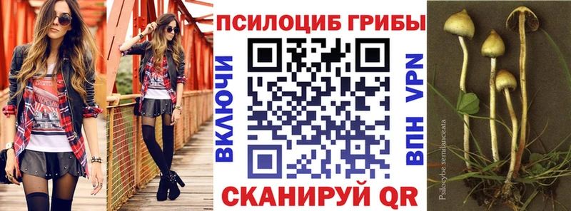 Галлюциногенные грибы GOLDEN TEACHER Озёры
